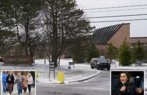 O ataque anti-semita à pré-escola da sinagoga poderia ter resultado ‘como Sandy Hook’, diz o governo de Michigan O ataque anti-semita à pré-escola da sinagoga poderia ter resultado 'como Sandy Hook', diz o governo de Michigan