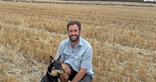 O custo anual de US$ 750 que os produtores de lã estão usando para desbloquear benefícios extras de mercado
