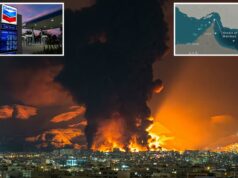 O diesel dos EUA ultrapassa US$ 5 por galão, o petróleo dispara 4% enquanto a crise do Estreito de Ormuz continua O diesel dos EUA ultrapassa US$ 5 por galão, o petróleo dispara 4% enquanto a crise do Estreito de Ormuz continua