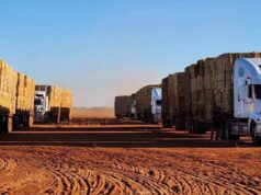 O feno está pronto, mas os caminhões estão estacionados: caridade pede apoio do governo O feno está pronto, mas os caminhões estão estacionados: caridade pede apoio do governo
