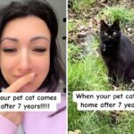Woman spots missing cat