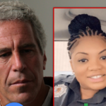 jeffrey epstein tova noel principal getty doj