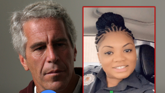 jeffrey epstein tova noel principal getty doj