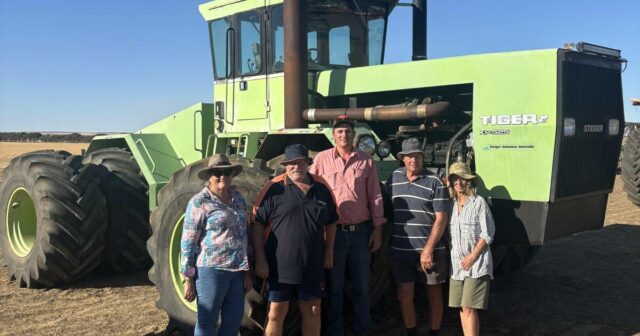 O icônico trator verde com poucas horas foi disputado nesta liquidação
