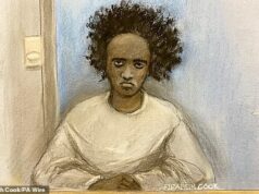 O imitador do assassino de Southport, 17 anos, que comprou um moletom verde e planejou um ataque que apelidou de ‘Axel 2’ no aniversário da atrocidade, evita a custódia Axel Rudakubana foi condenado à prisão perpétua e condenado a cumprir pena mínima de 52 anos pelos assassinatos de Bebe King, seis, Elsie Stancombe, sete, e Alice Aguiar, nove, que ele esfaqueou até a morte em um clube de dança com tema de Taylor Swift.