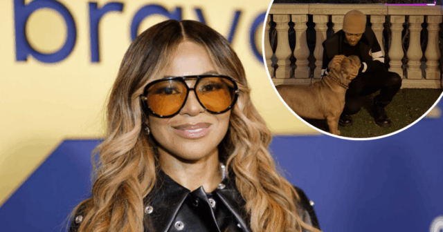 illboybubs_1770427814_3826948086648885691_5332221083