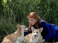 O plano de Fergie para clonar os corgis da rainha para reality shows: justamente quando você pensava que a ex-duquesa não poderia afundar ainda mais, revelamos o plano extraordinário para vender réplicas genéticas dos amados animais de estimação da monarca Sarah Ferguson estava buscando maneiras de alavancar o pouco que restava de seu status real, quando a ideia de monetizar os corgis da Rainha foi lançada em maio de 2023