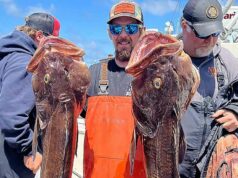 O que aconteceu com o marinheiro Todd Meadows de ‘Deadliest Catch’ em uma viagem fatal O marinheiro mais mortal, Todd Meadows, caiu ao mar em um navio de pesca