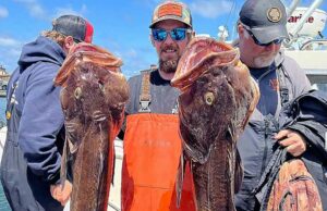 O que aconteceu com o marinheiro Todd Meadows de ‘Deadliest Catch’ em uma viagem fatal O marinheiro mais mortal, Todd Meadows, caiu ao mar em um navio de pesca