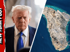 O que é a Ilha Kharg? Quebrando a ameaça de Trump ao principal centro petrolífero do Irã O que é a Ilha Kharg? Quebrando a ameaça de Trump ao principal centro petrolífero do Irã