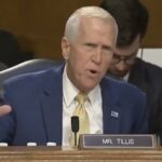 O republicano Thom Tillis ataca Kristi Noem