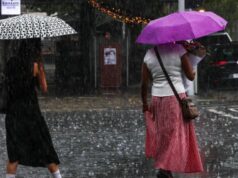 O tempo chuvoso funciona em casa, a maioria dos australianos está firmemente atrás O tempo chuvoso funciona em casa, a maioria dos australianos está firmemente atrás