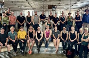 O treinamento em bem-estar animal mantém a indústria de lã de WA no auge internacionalmente O treinamento em bem-estar animal mantém a indústria de lã de WA no auge internacionalmente