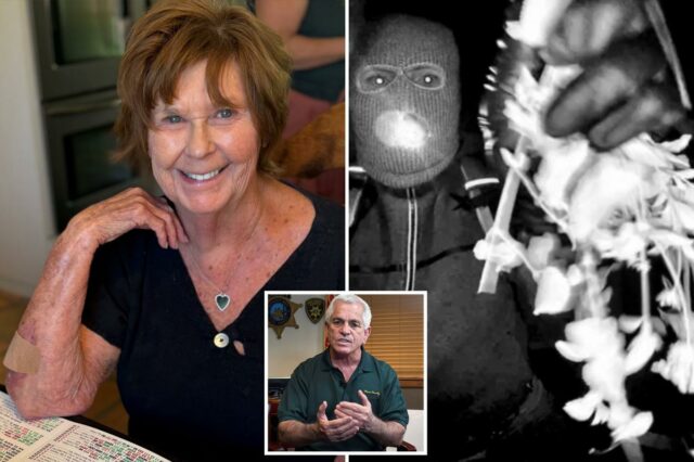 O xerife que lidera o caso de Nancy Guthrie pensa que sabe por que a mãe foi 'alvo' - avisa que o suspeito pode atacar novamente
