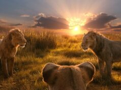 ‘Olha, é um processo!’ Compositor de Rei Leão processa comediante por tradução de música 'Olha, é um processo!' Compositor de Rei Leão processa comediante por tradução de música