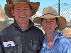 Oportunidade de comprar walk-in walk-out da estação de gado Kimberley com foco na exportação Oportunidade de comprar walk-in walk-out da estação de gado Kimberley com foco na exportação