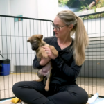 Os Kelces acabaram de ganhar sua quinta garota e ela é um cachorro! Como eles a chamaram