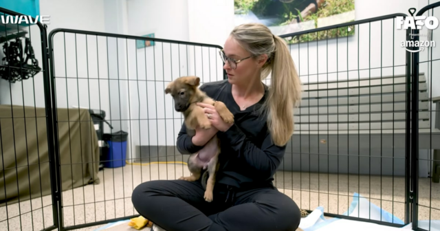 Os Kelces acabaram de ganhar sua quinta garota e ela é um cachorro! Como eles a chamaram
