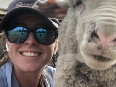 Os dados por trás da tag: como você pode usar o eID para aumentar seus resultados financeiros Os dados por trás da tag: como você pode usar o eID para aumentar seus resultados financeiros