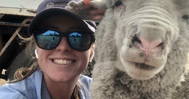 Os dados por trás da tag: como você pode usar o eID para aumentar seus resultados financeiros
