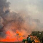 Os incêndios nas colheitas aumentaram um quarto no ano passado e o DFES quer saber por quê