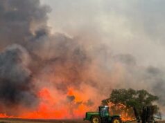 Os incêndios nas colheitas aumentaram um quarto no ano passado e o DFES quer saber por quê Os incêndios nas colheitas aumentaram um quarto no ano passado e o DFES quer saber por quê