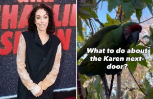 Os papagaios da infame senhora de Hollywood Heidi Fleiss – chamados Gin and Juice – geram uma disputa barulhenta com o vizinho de Las Vegas Os papagaios da infame senhora de Hollywood Heidi Fleiss - chamados Gin and Juice - geram uma disputa barulhenta com o vizinho de Las Vegas