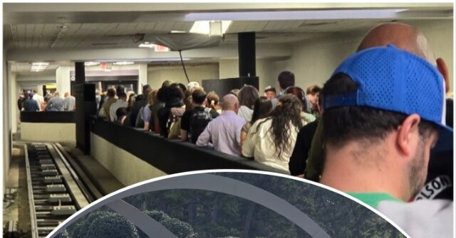 Os passageiros sentem o impacto positivo da ajuda dos oficiais Oficiais de operações de fiscalização e remoção de ICE trabalhando no aeroporto IAH de Houston (Bob Price/Breitbart Texas)