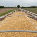 Os preços das colheitas disparam à medida que a guerra atrapalha o comércio e corre o risco de restringir a oferta