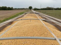 Os preços das colheitas disparam à medida que a guerra atrapalha o comércio e corre o risco de restringir a oferta Os preços das colheitas disparam à medida que a guerra atrapalha o comércio e corre o risco de restringir a oferta