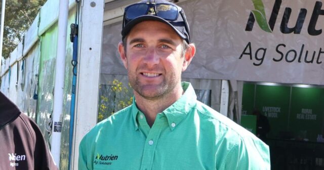 Os produtores recorrem às leguminosas em busca de nitrogênio enquanto reconsideram os programas de cultivo
