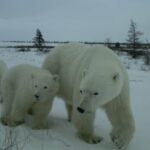 Ícone de conversão de texto em fala