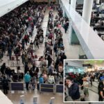 Os viajantes são aconselhados a chegar 4 horas mais cedo em meio a enormes atrasos nos aeroportos devido ao desligamento contínuo do DHS
