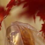 Oscar 2026: Hollywood se comemora em meio a 'crise existencial', ataques iminentes e declínio acentuado