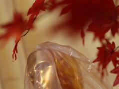 Oscar 2026: Hollywood se comemora em meio a ‘crise existencial’, ataques iminentes e declínio acentuado Oscar 2026: Hollywood se comemora em meio a 'crise existencial', ataques iminentes e declínio acentuado