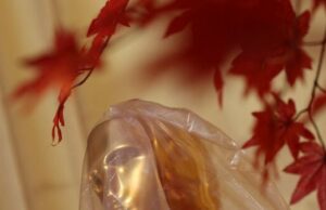 Oscar 2026: Hollywood se comemora em meio a ‘crise existencial’, ataques iminentes e declínio acentuado Oscar 2026: Hollywood se comemora em meio a 'crise existencial', ataques iminentes e declínio acentuado