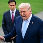 O presidente Trump, um homem pequeno, sempre tenta enfrentar seus críticos, escreve Peter Hitchens