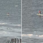 Paddleboarder usando mochila em cruzeiros ao longo do gelado rio Hudson em uma aventura 'selvagem'