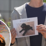 A polícia divulgou imagens das mulheres com quem gostaria de falar, bem como uma foto de Dora caso alguém a reconheça.