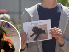 Pai implora pela devolução do cachorrinho roubado de uma criança de quatro anos enquanto a polícia caça três mulheres A polícia divulgou imagens das mulheres com quem gostaria de falar, bem como uma foto de Dora caso alguém a reconheça.