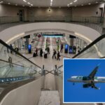 Um avião da Frontier Airlines com um grande alce pintado na cauda, ​​contra um céu azul claro.