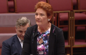 Pauline Hanson sai furiosa do parlamento antes de ser censurada A líder de uma nação, Pauline Hanson, saiu do parlamento hoje depois de ter sido censurada por dizer que não havia