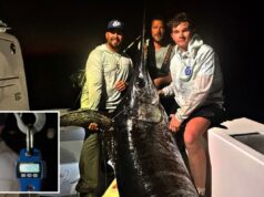 Peixe monstro de quase 500 libras transportado pelo capitão dos EUA se transforma em banquete para toda a cidade Notícias da raposa