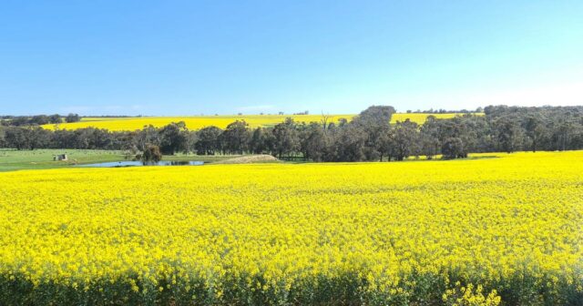 Pequeno bolsão da área costeira sul ultrapassa seu peso no valor da terra
