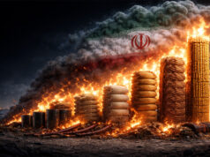 Poderá a guerra no Irão desencadear o próximo choque alimentar global? Poderá a guerra no Irão desencadear o próximo choque alimentar global?