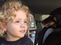 Polícia cancela nova busca por Gus Lamont depois de não encontrar nenhuma evidência Uma nova imagem de Gus Lamont foi divulgada hoje.