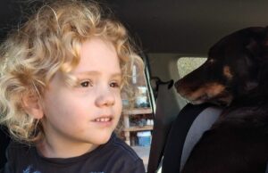 Polícia cancela nova busca por Gus Lamont depois de não encontrar nenhuma evidência Uma nova imagem de Gus Lamont foi divulgada hoje.