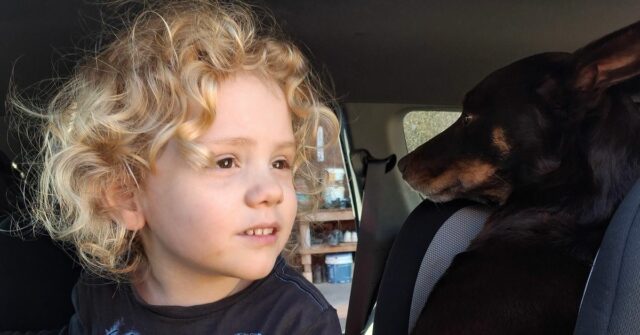 Uma nova imagem de Gus Lamont foi divulgada hoje.