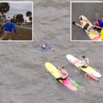 Policiais da Flórida saltam em paddleboards para uma perseguição policial selvagem