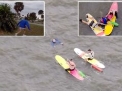 Policiais da Flórida saltam em paddleboards para uma perseguição policial selvagem Policiais da Flórida saltam em paddleboards para uma perseguição policial selvagem